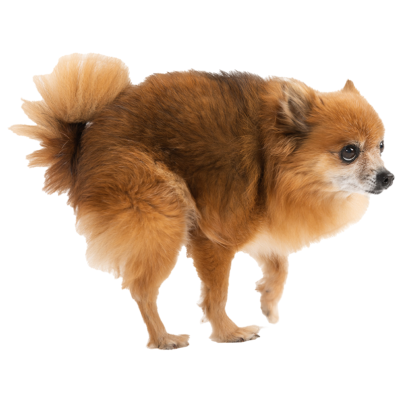 Coco 4