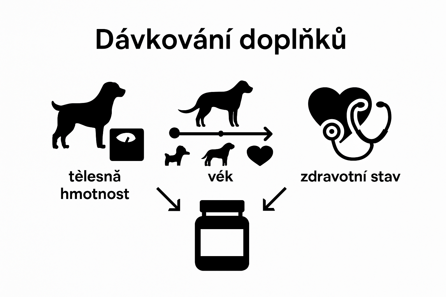 Infografika: Co ovlivňuje dávkování doplňků stravy pro psy