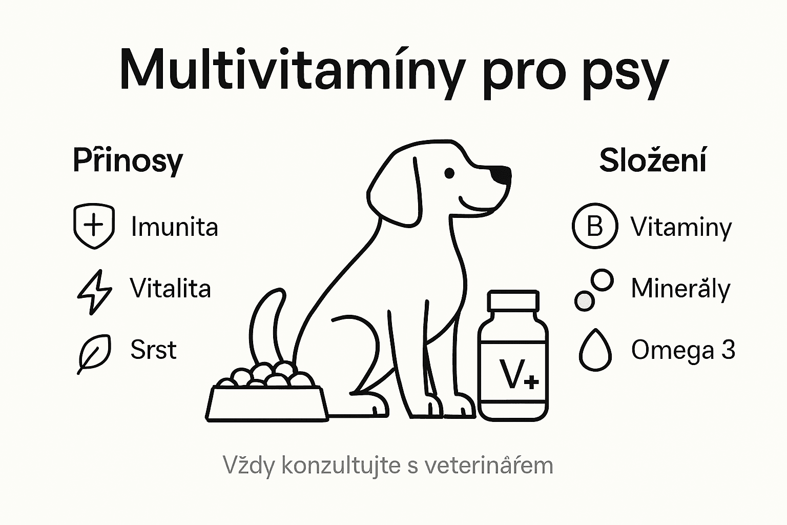 Na této infografice najdete nejdůležitější výhody, které užívání multivitamínů přináší.