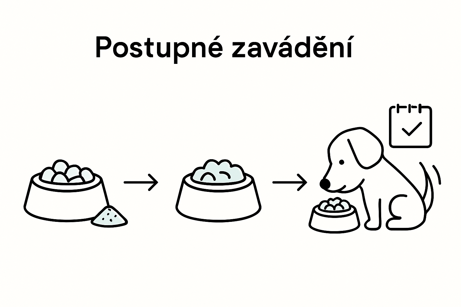 Infografika: Jak postupně zavádět doplňky stravy do krmiva pro psy