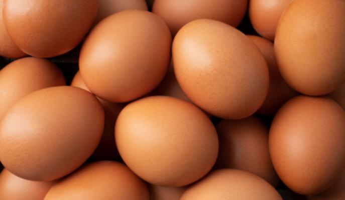 Egg Membrane Powder