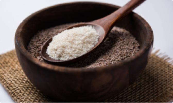 Babka płesznik (Psyllium)