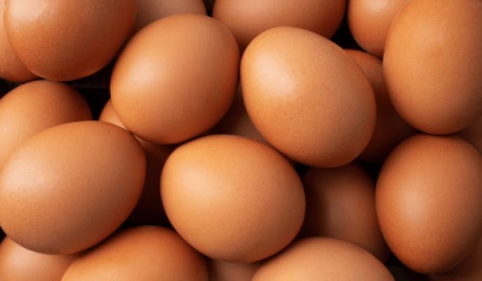 Polvo de Membrana de Huevo