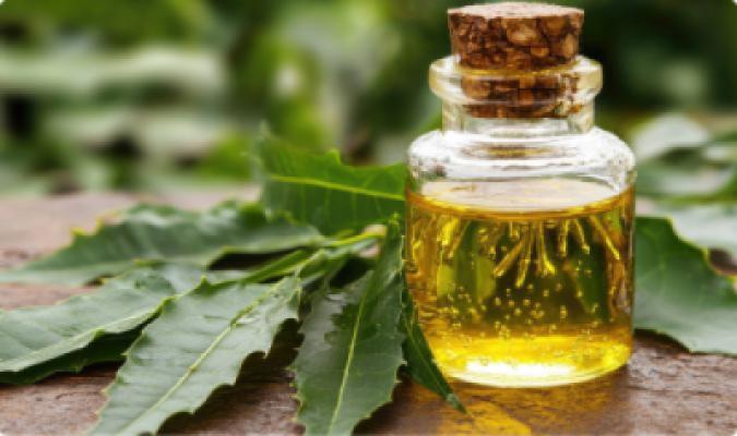 Aceite de semilla de neem