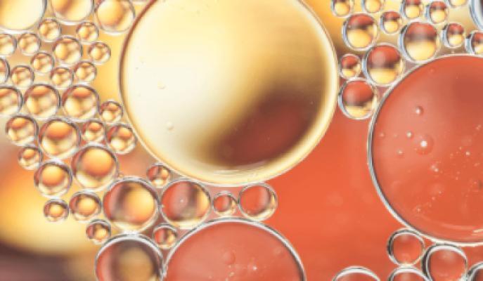 Hydrolyzed Collagen (Type I & III)