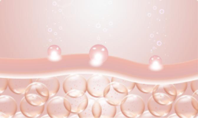 Collagen type I and II