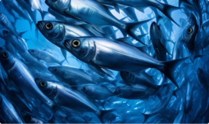 Collagène de poisson