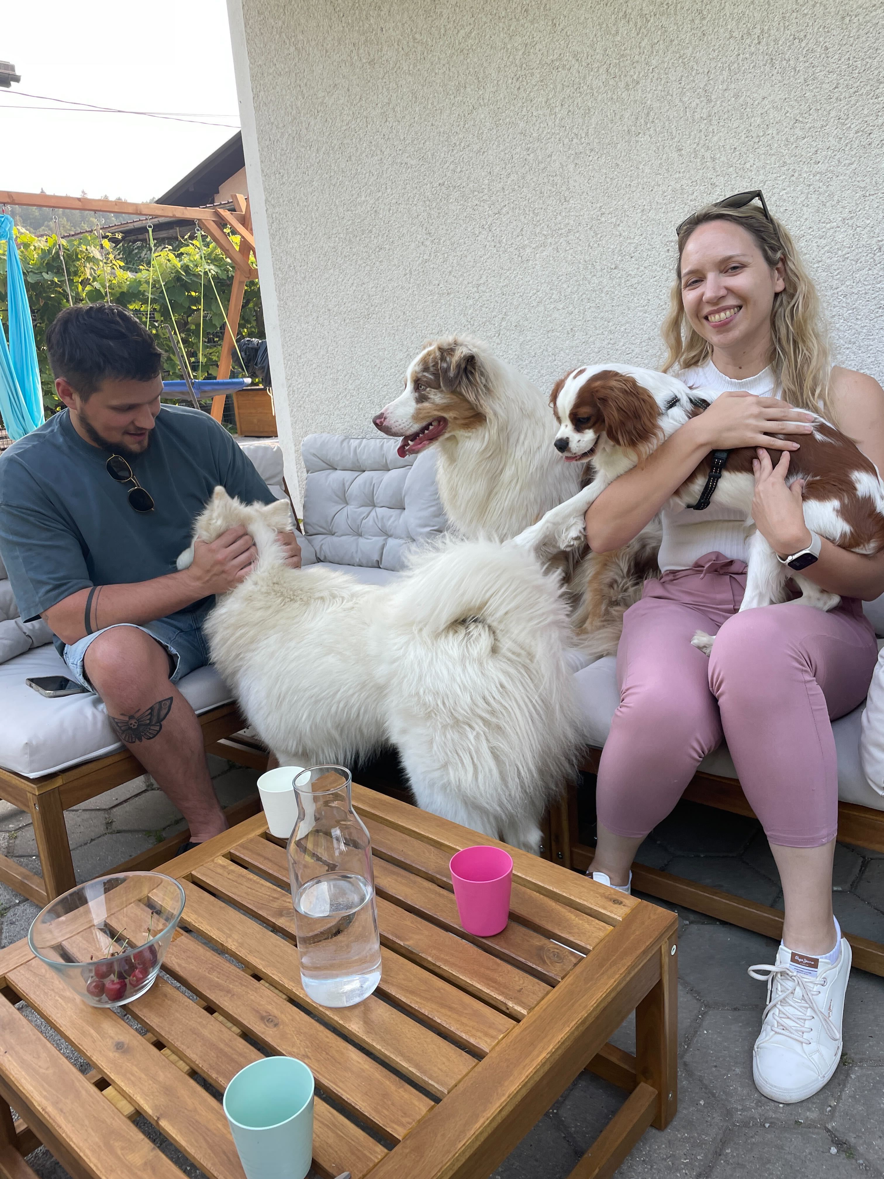 Pet Photo