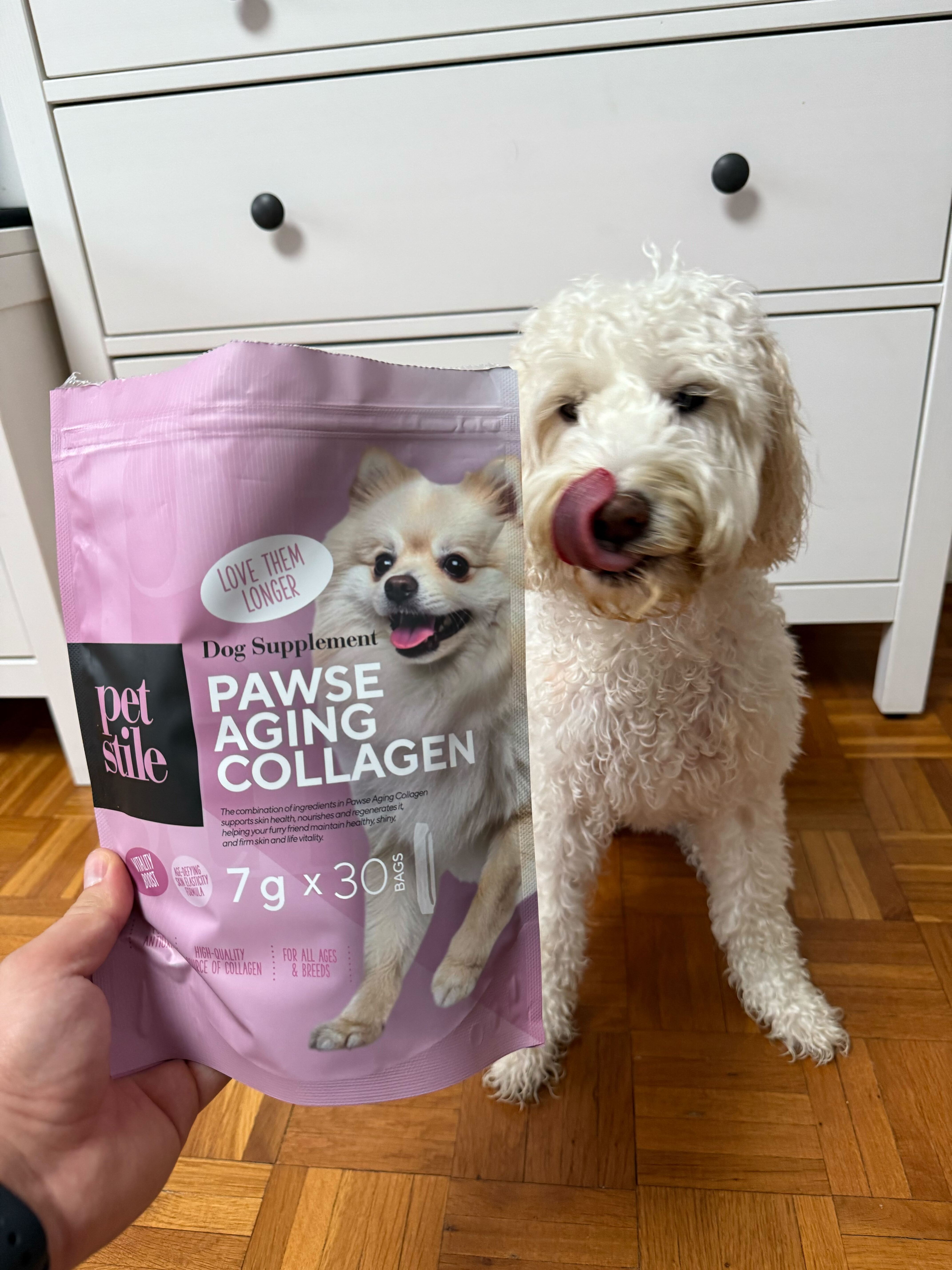 Pet Photo