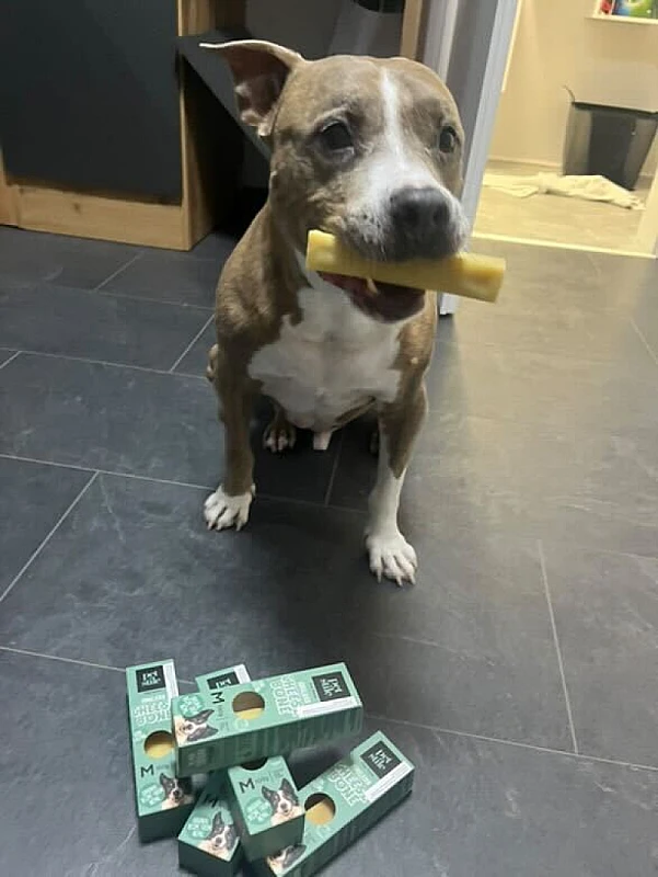 Pet Photo