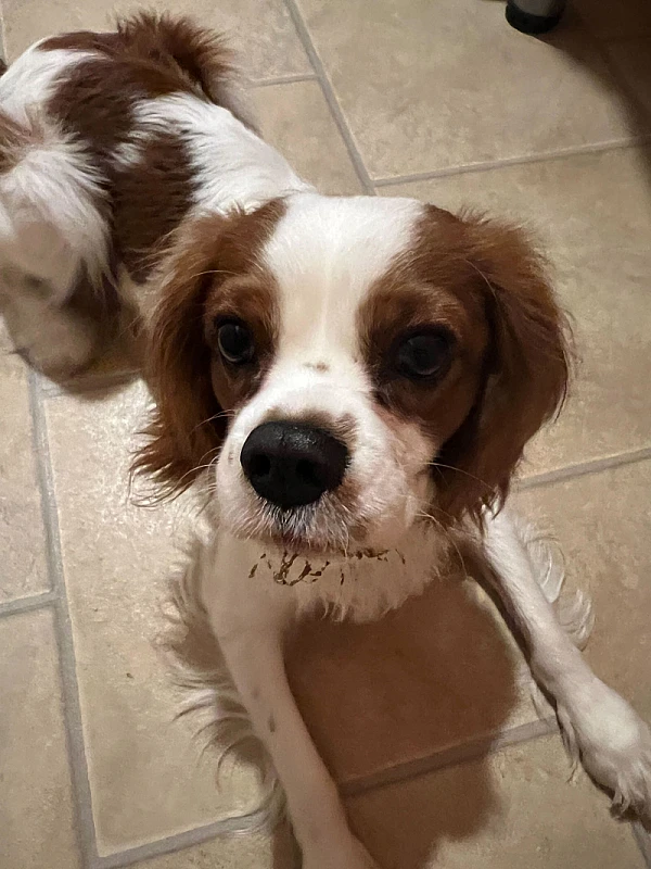 Niki Veček's image 1