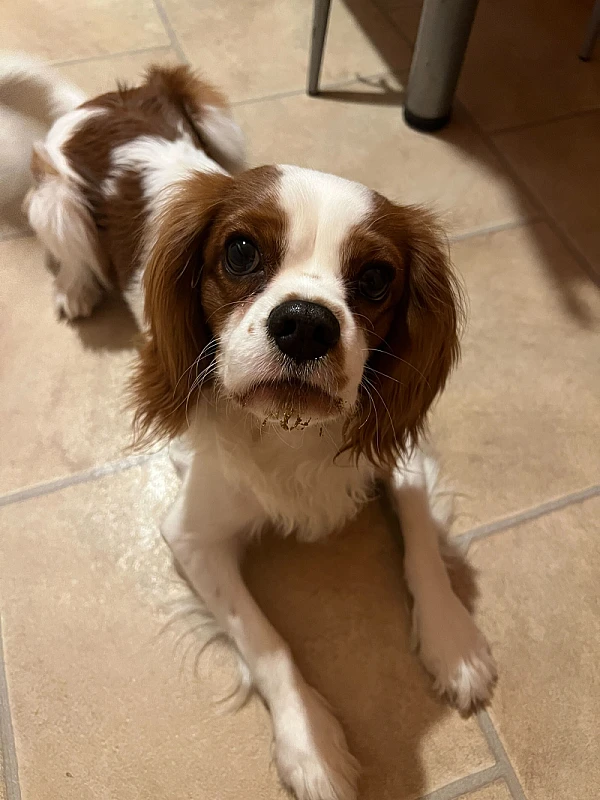 Niki Veček's image 2