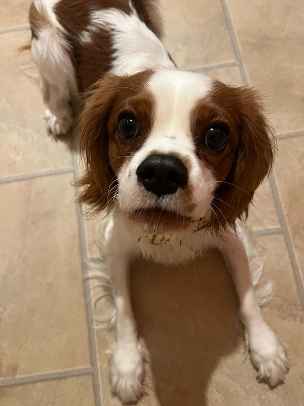 Niki Veček's image 3