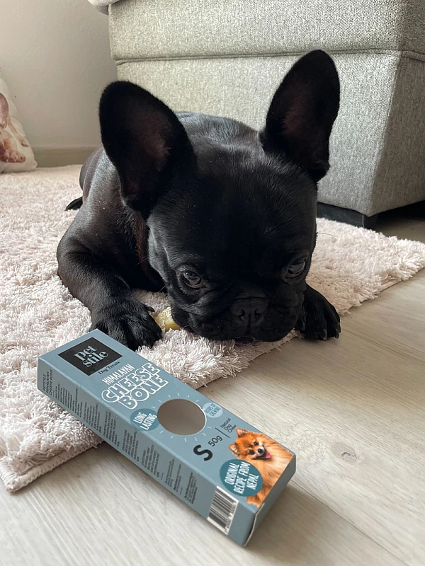 Eva Gregorinčič's image 2