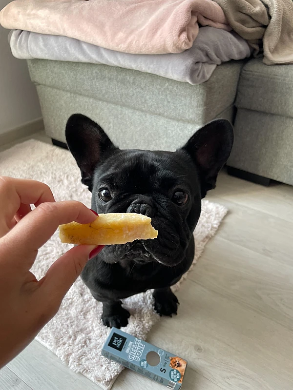 Eva Gregorinčič's image 1