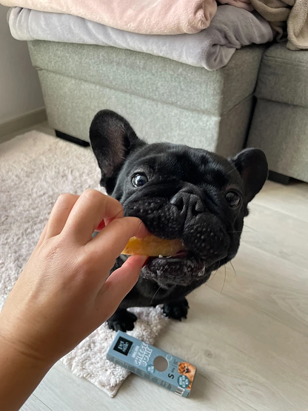 Eva Gregorinčič's image 3