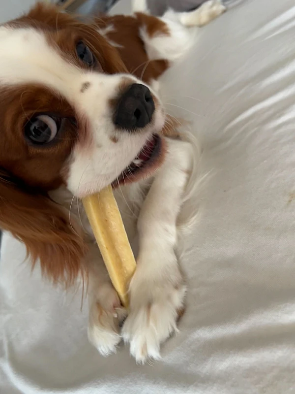 Niki Veček's image 1