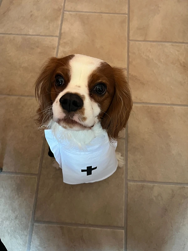 Niki Veček's image 3