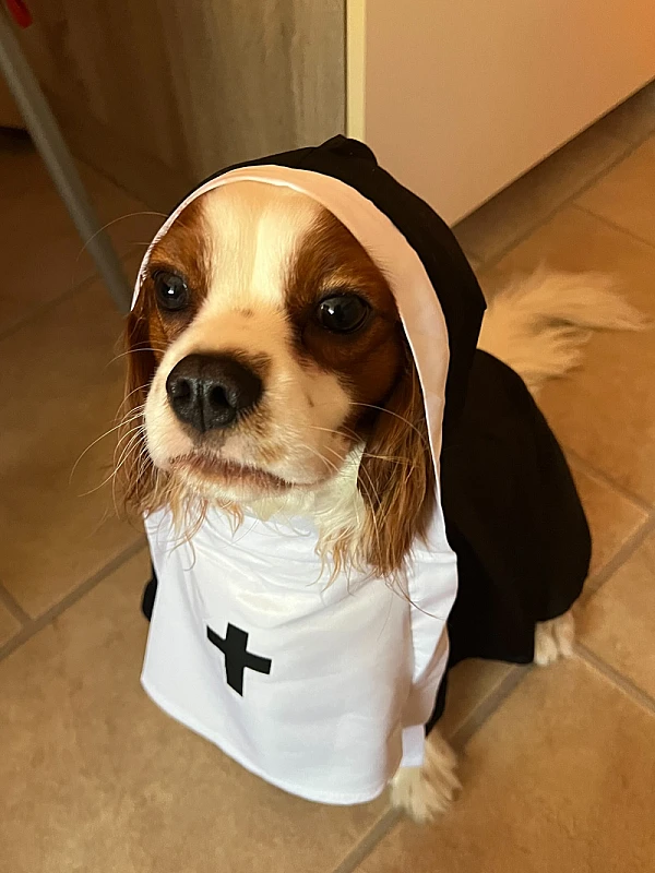 Niki Veček's image 1