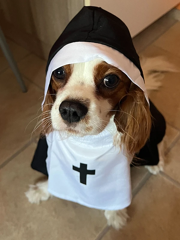 Niki Veček's image 2