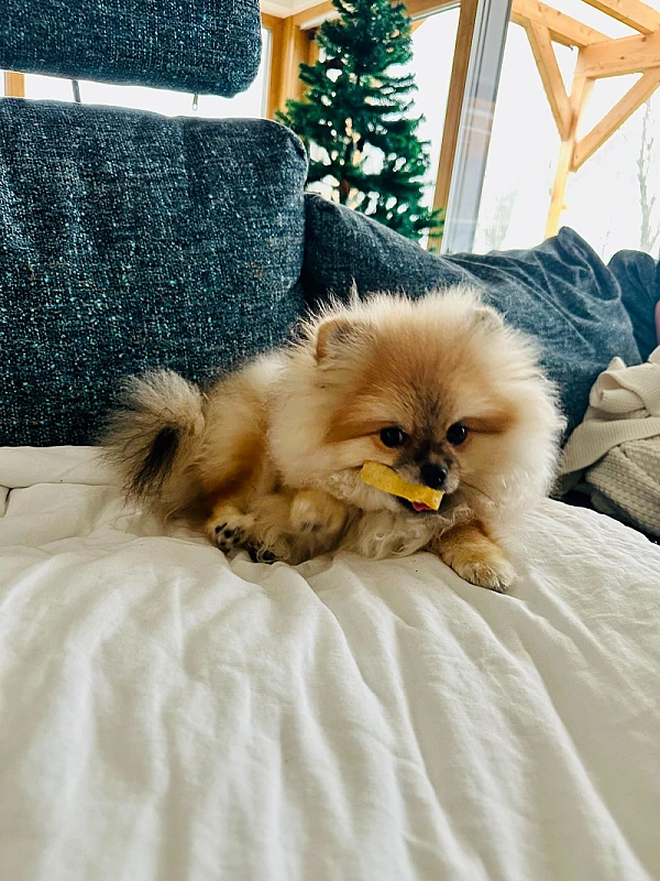 Zan Keglic's image 1