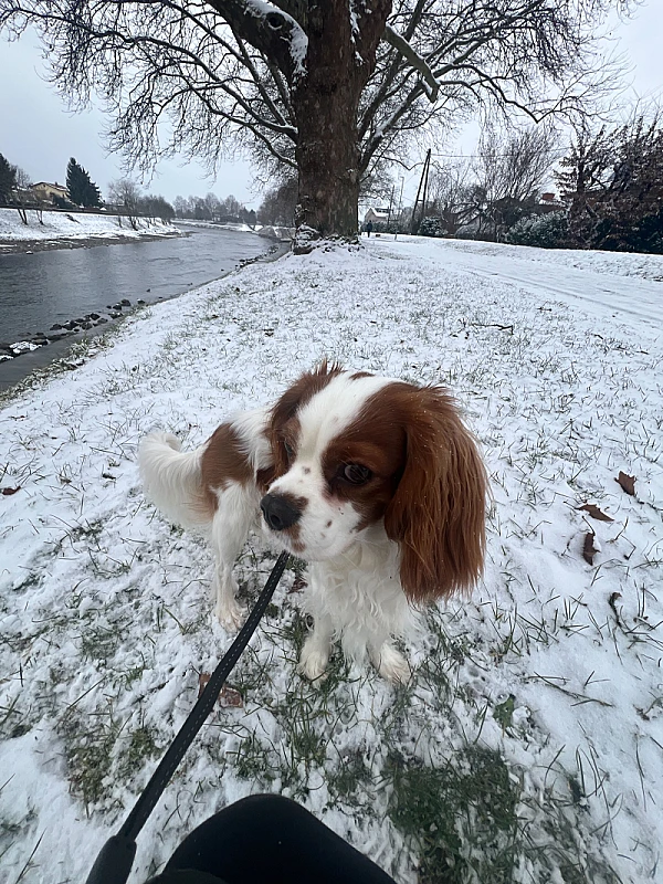 Niki Veček's image 2