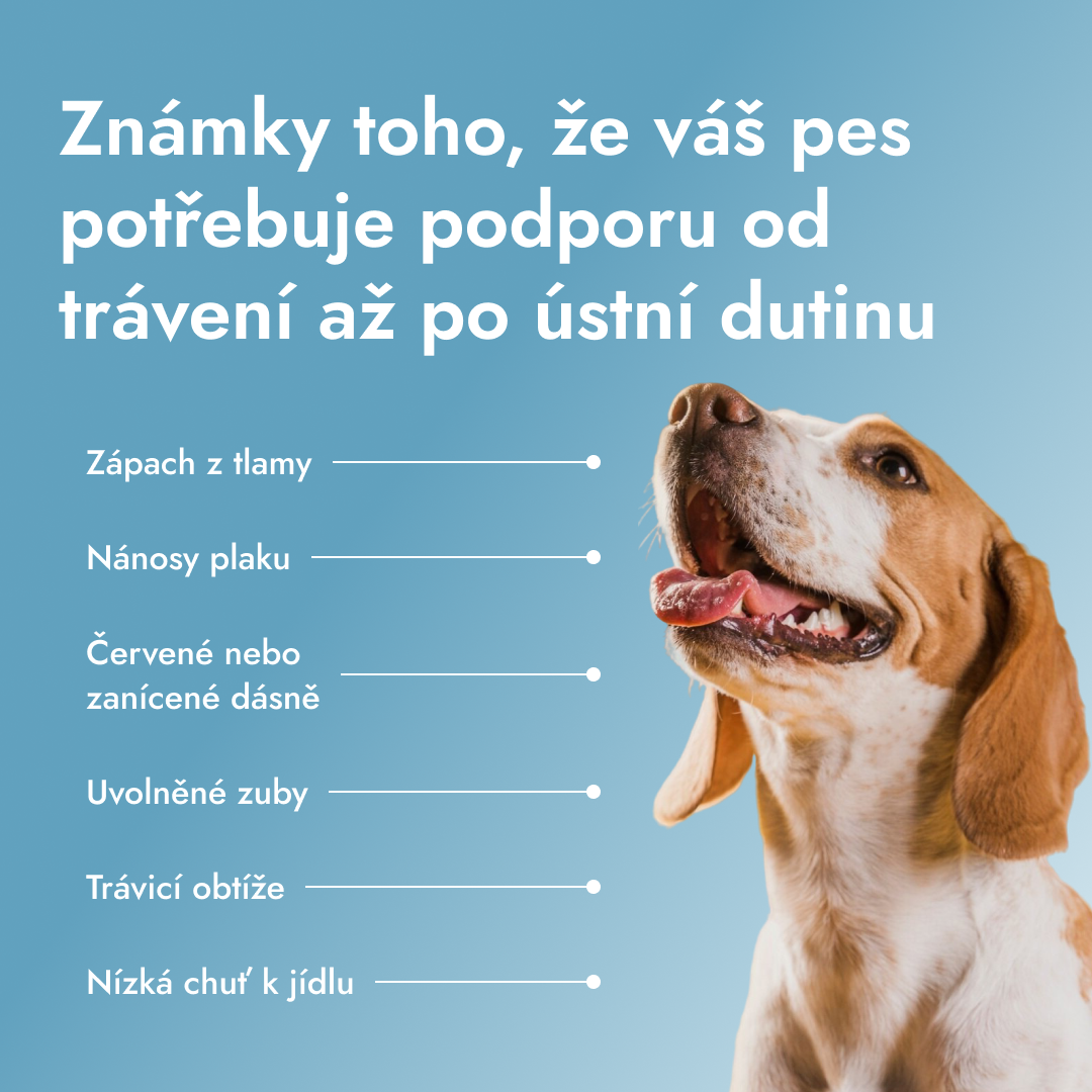 Dental PetBiotics