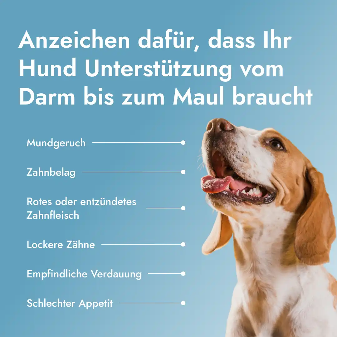 Dental PetBiotics