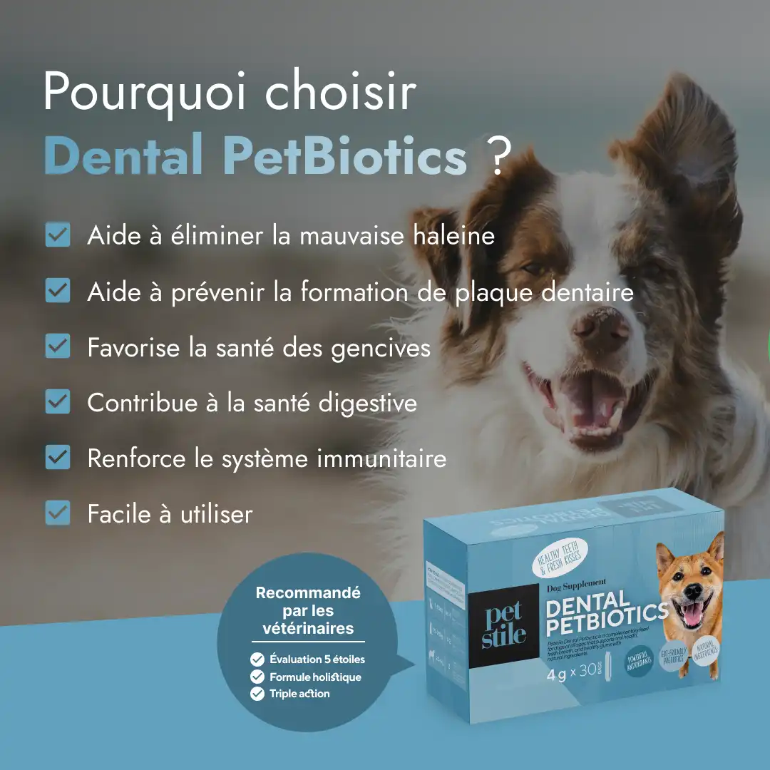 Dental PetBiotics