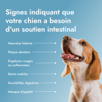 Dental PetBiotics