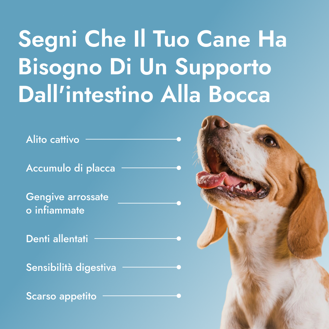 Dental PetBiotics