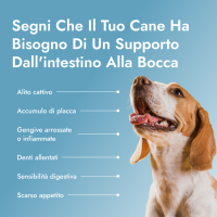 Dental PetBiotics