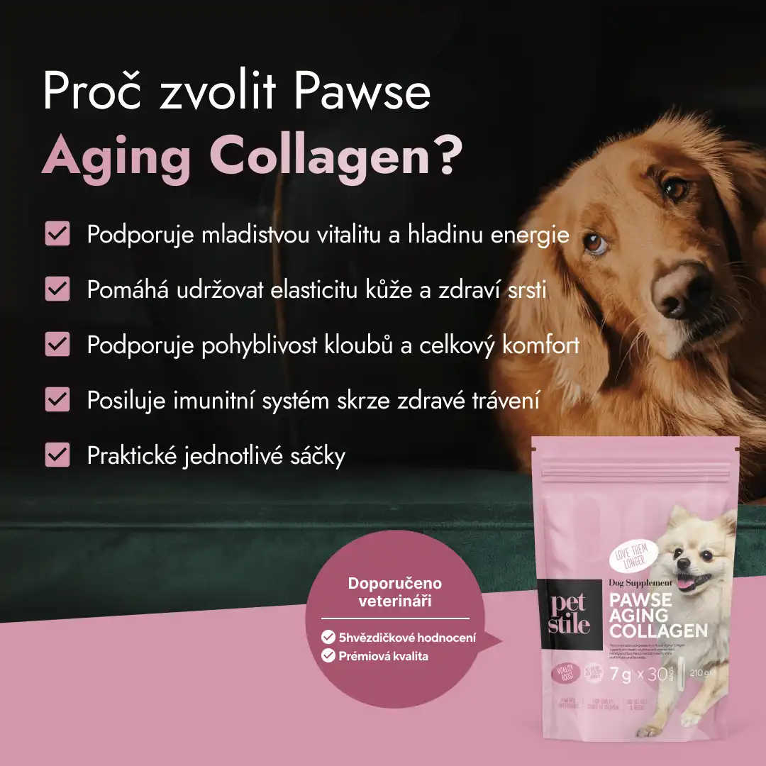 Pawse Aging Collagen