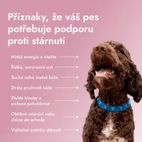 Pawse Aging Collagen