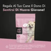 Pawse Aging Collagen