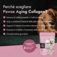 Pawse Aging Collagen