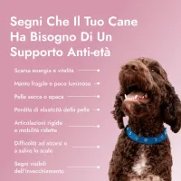 Pawse Aging Collagen