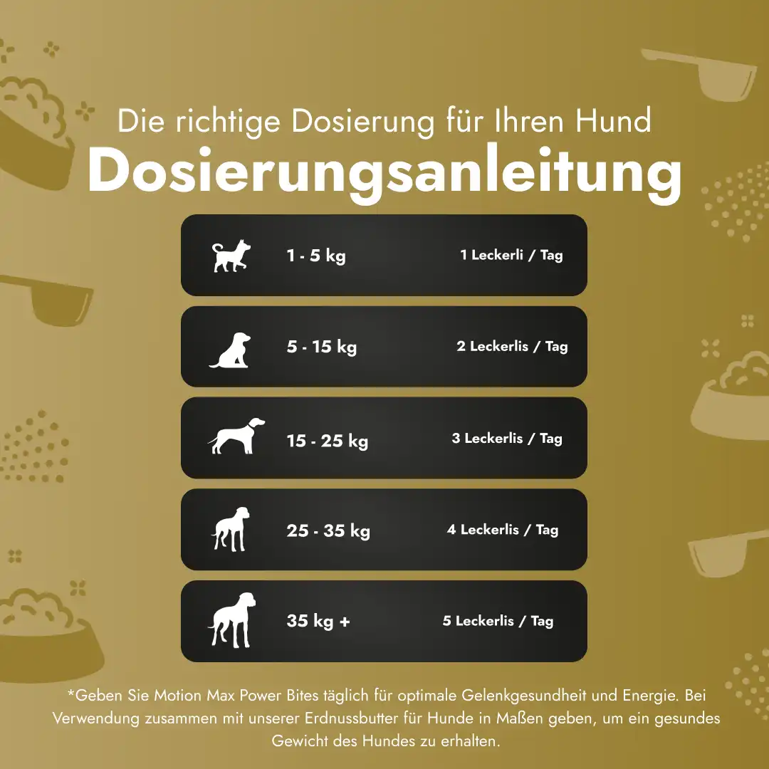 Motion Max - 90 Stück