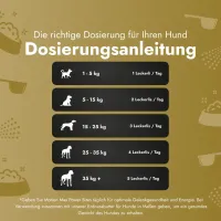 Motion Max - 90 Stück