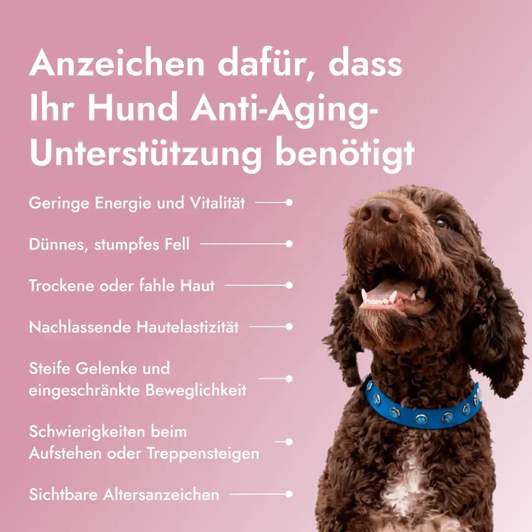 Pawse Aging Collagen