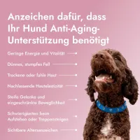 Pawse Aging Collagen