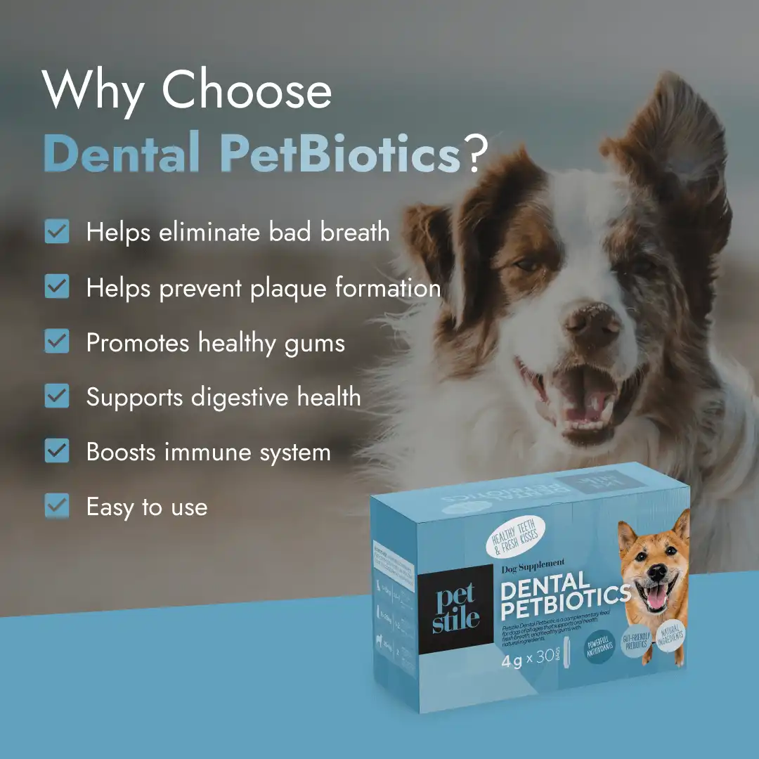 Dental PetBiotics