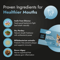 Dental PetBiotics