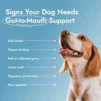 Dental PetBiotics