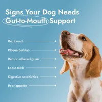 Dental PetBiotics