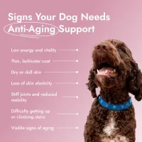 Pawse Aging Collagen