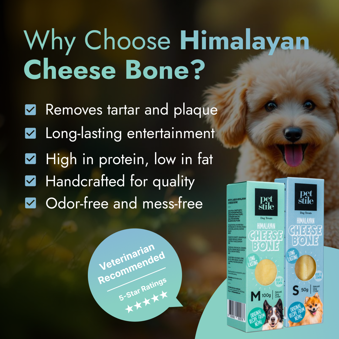 Cheese Bone - M