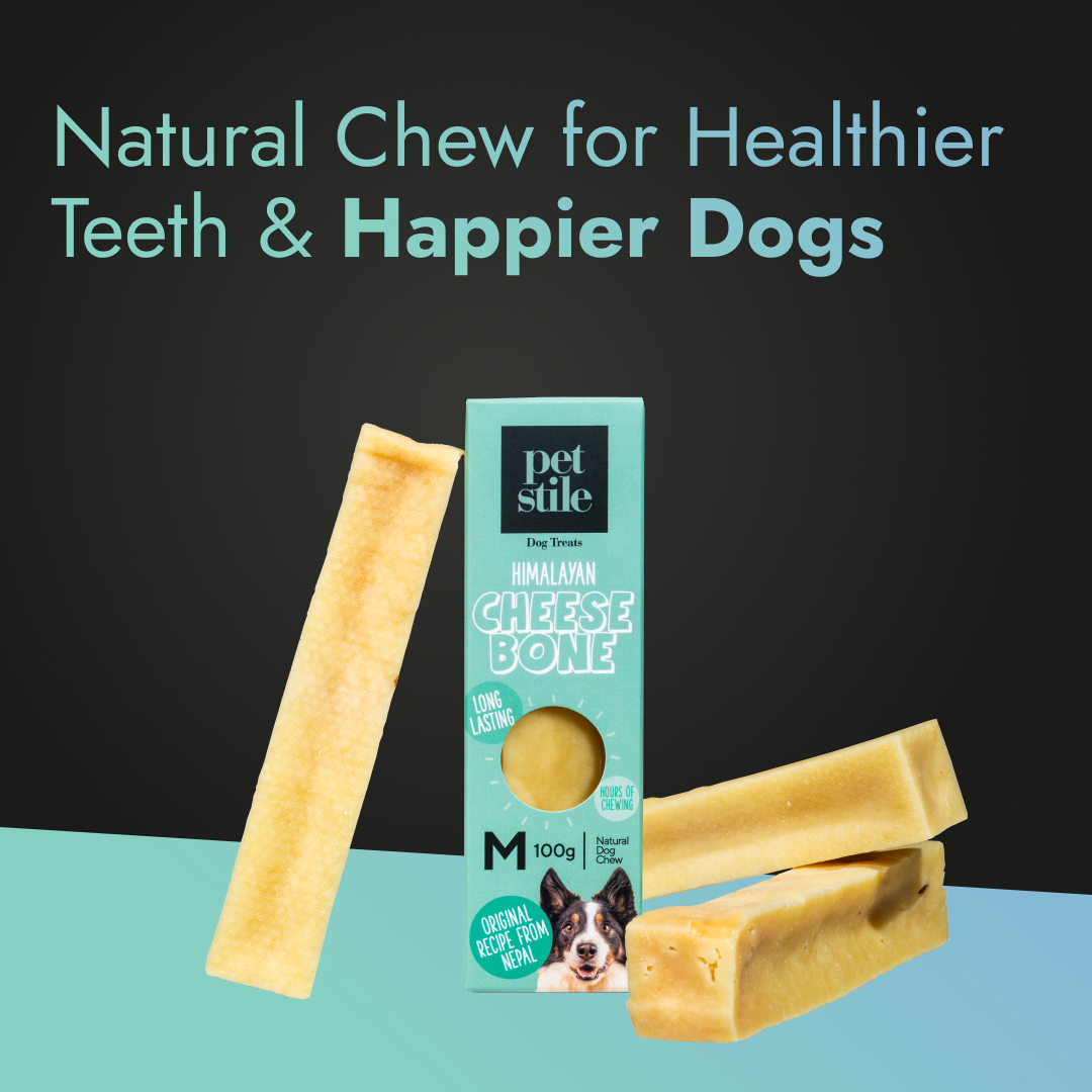 Cheese Bone - M