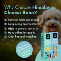 Cheese Bone - M