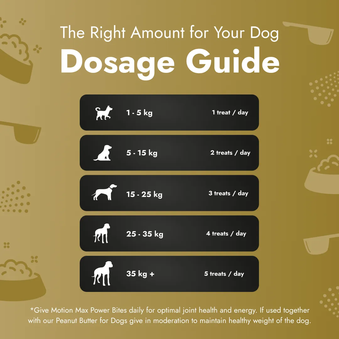 Motion Max - 90 Stück